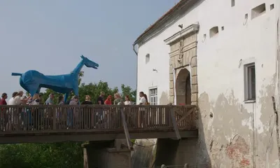13010270351983134_12934508714849217_modrikonjzelja_001.webp