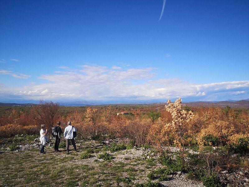 European_greenbelt_days_18._9._2022_16.jpg