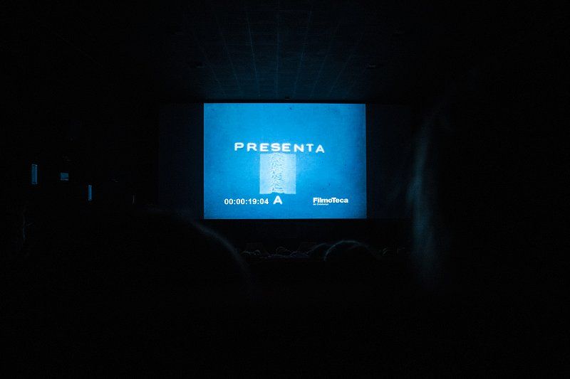 Marc_Recha___olska_Projekcija_14._9._2022_5.jpg